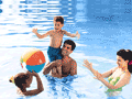Pool Supplies